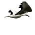 birdTran.gif (3866 Byte)